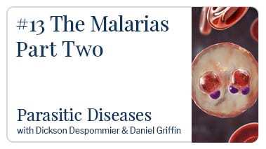 The Malarias Part Two