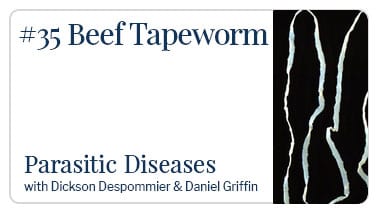 Beef Tapeworm