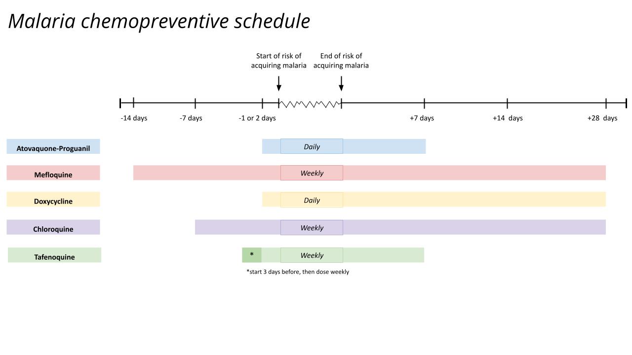 Malaria chemoprevention schedule