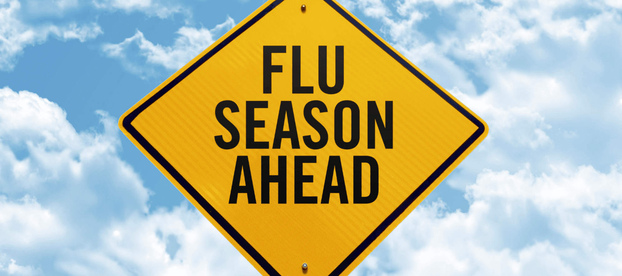 Flu Season