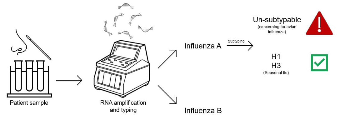 diagnosis of avian influenza